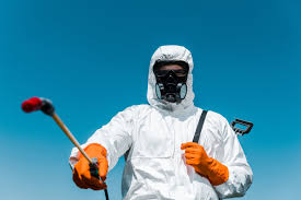 Best Termite Inspection and Treatment  in Fort Oglethorpe, GA